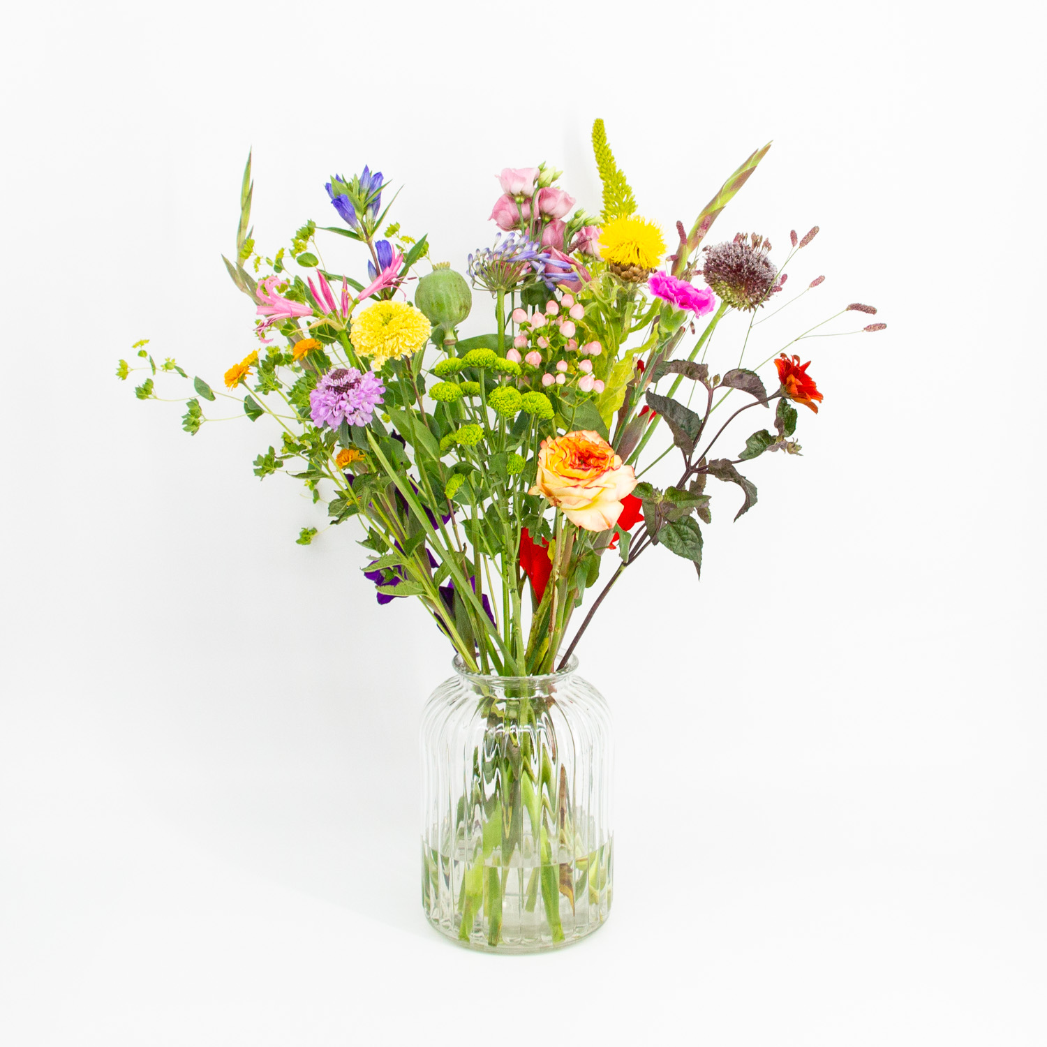 Heel Lief_image_1