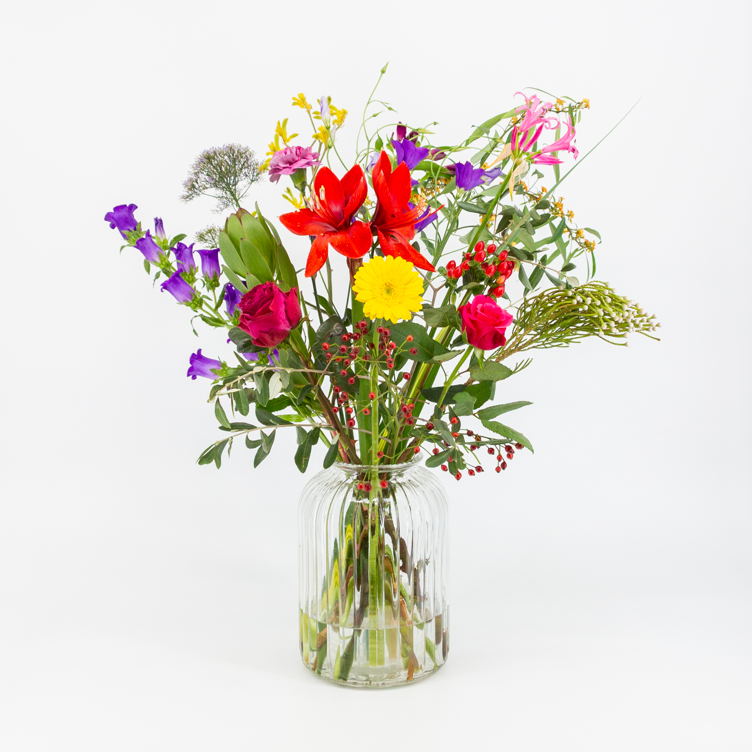 Heel Lief_image_1