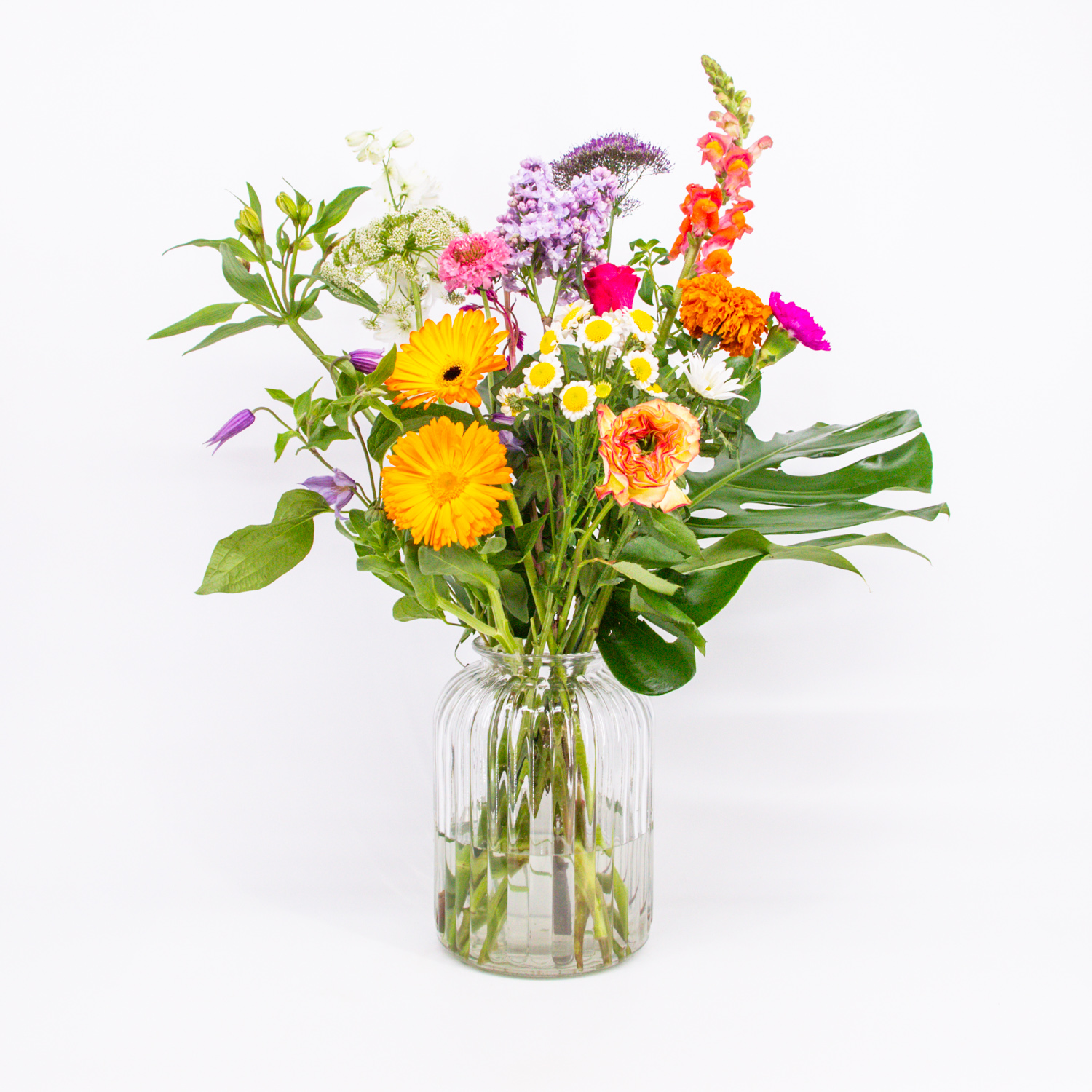 Heel Lief_image_1
