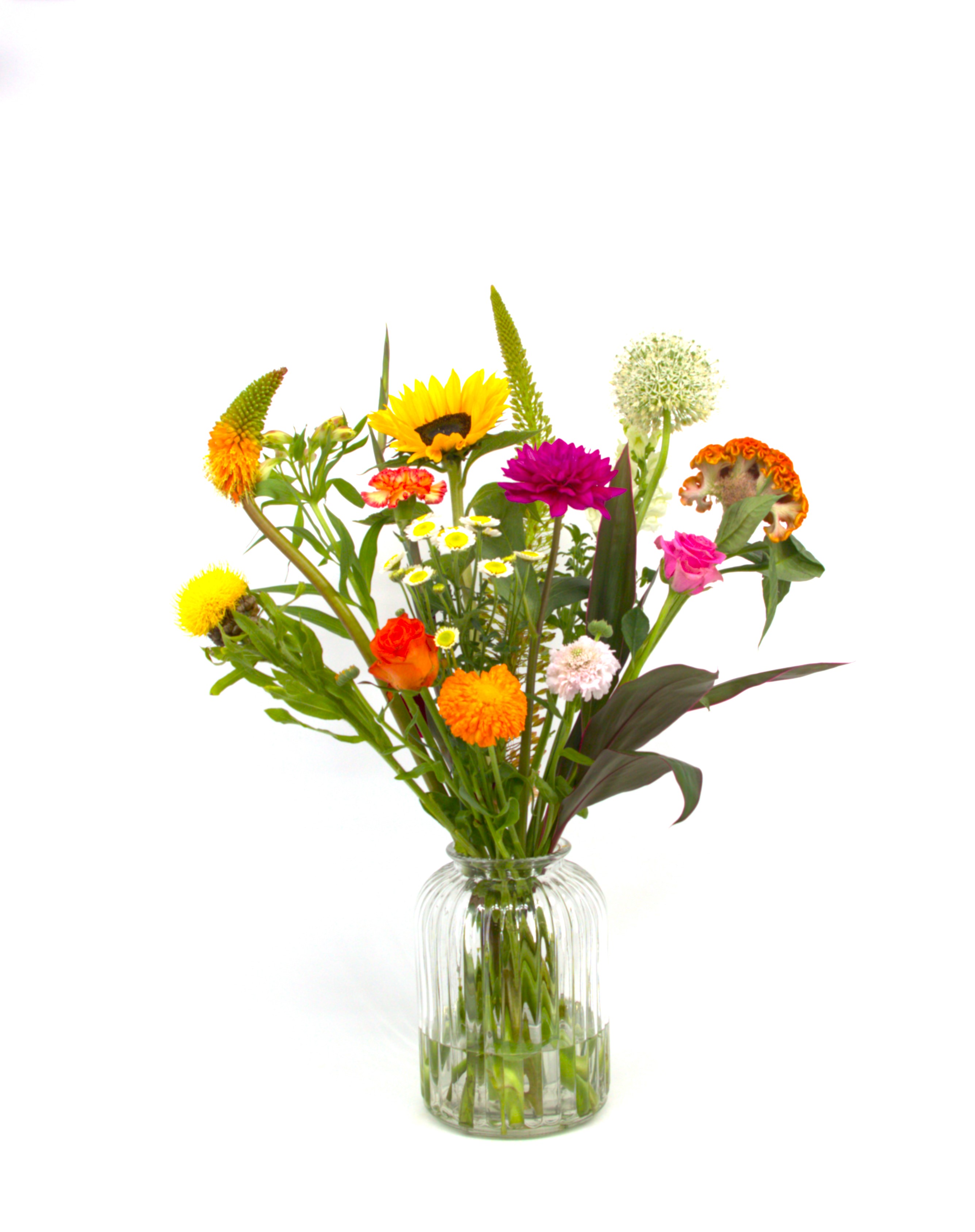 Heel Lief_image_1