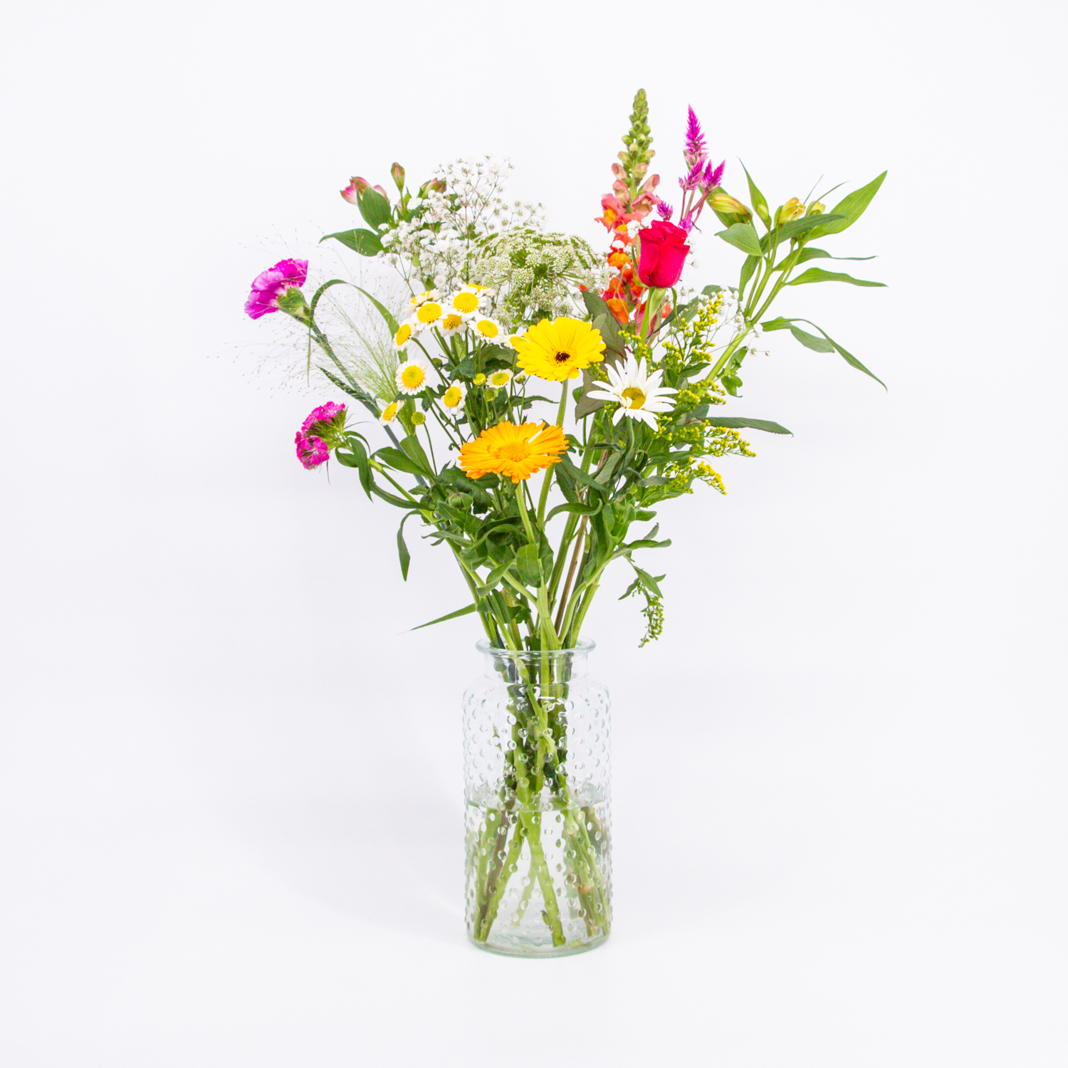 Lief_image_1