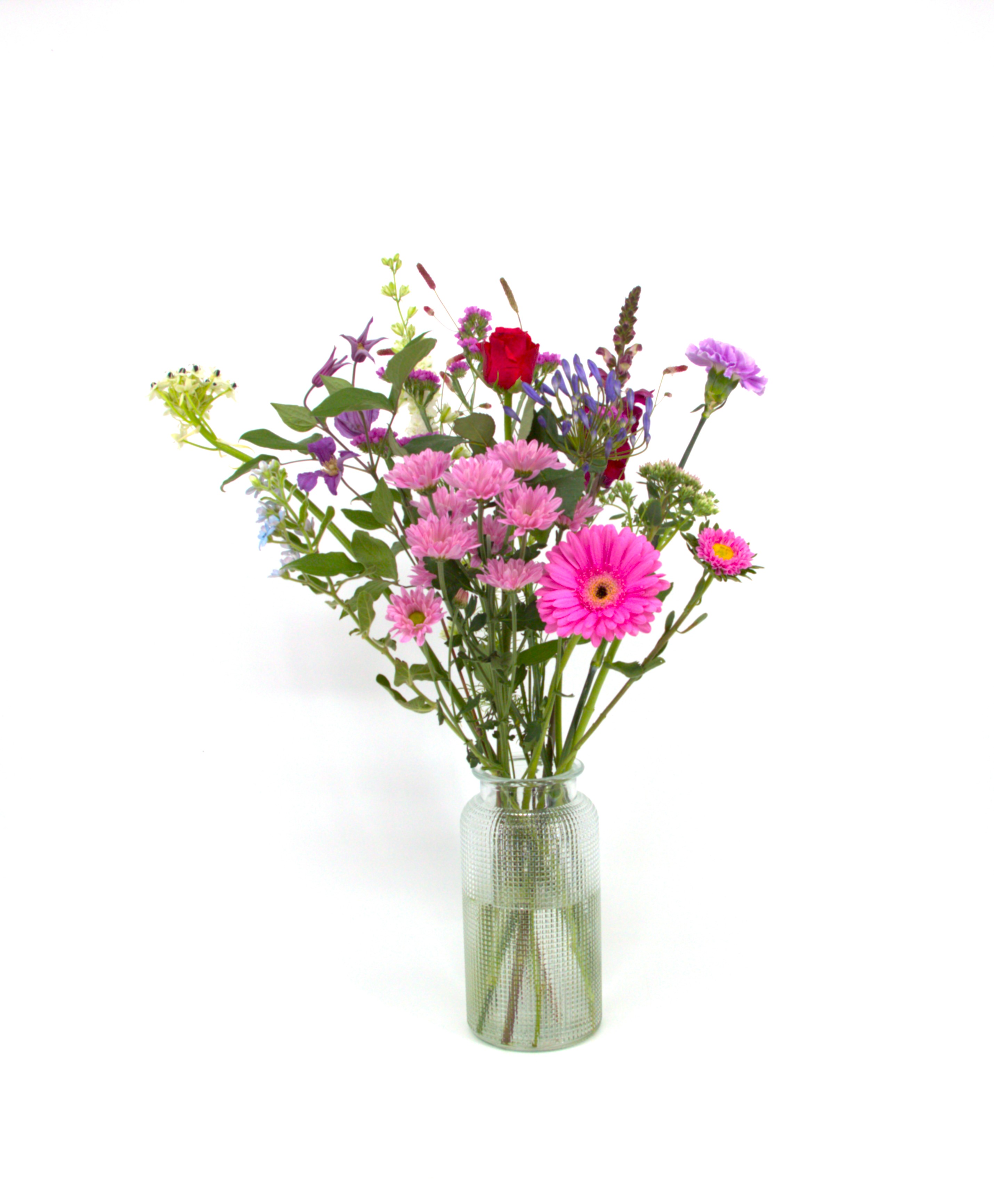Lief_image_2