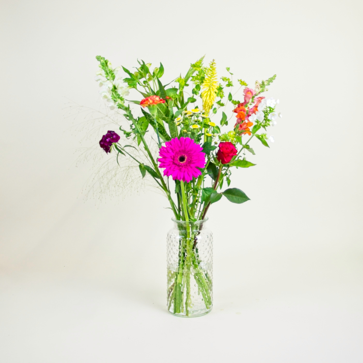 Lief_image_1
