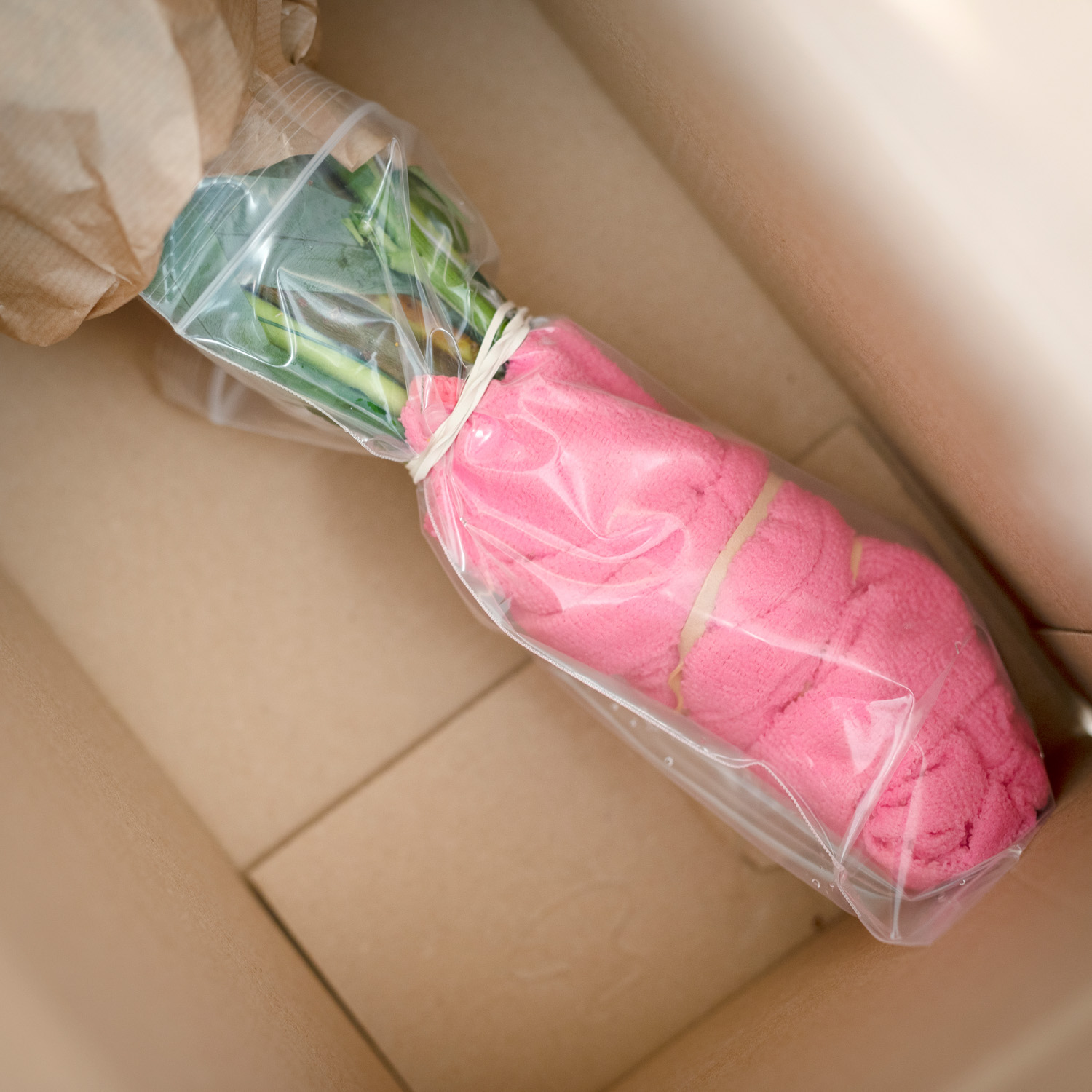 Lief_image_5