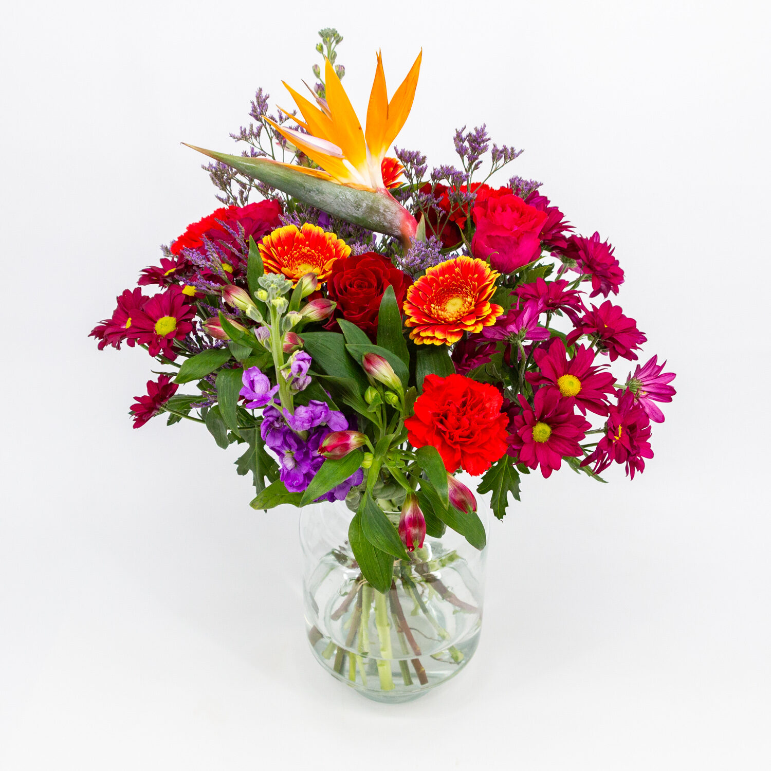 Heel Charmant IMG_2387