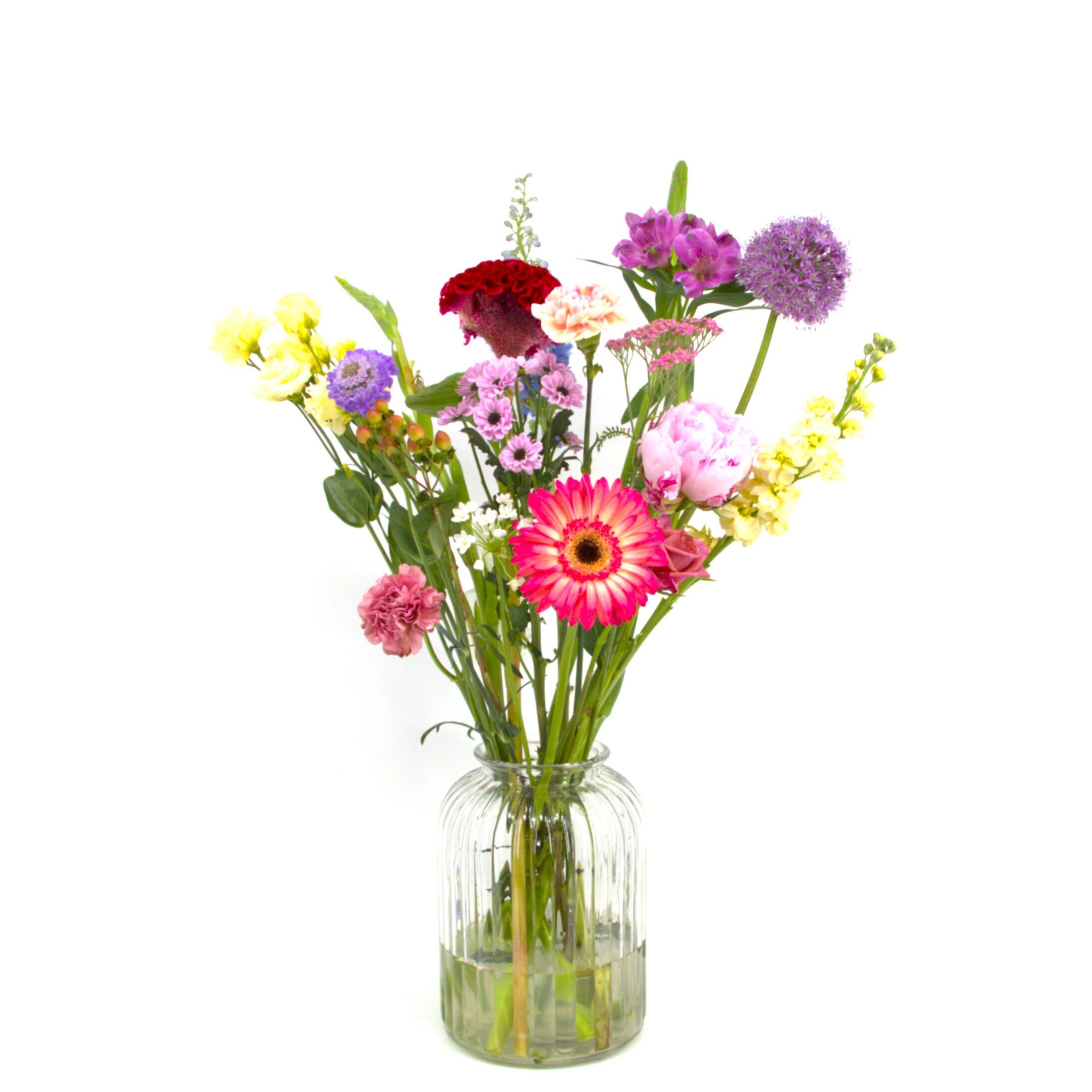 Heel Lief IMG_2922